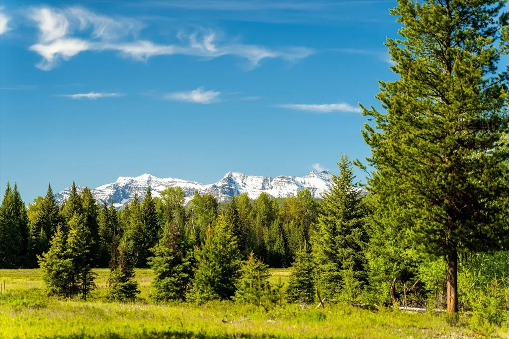 8500 North Fork Road Polebridge MT 59928