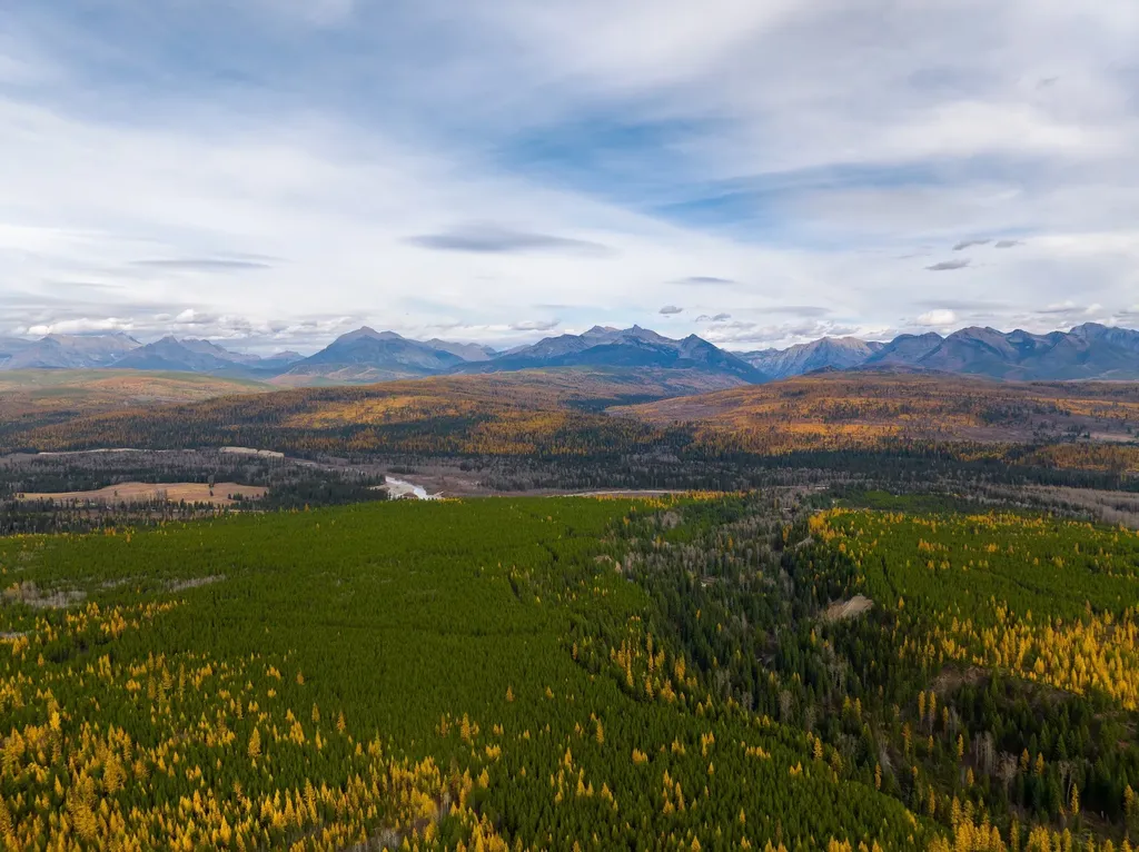 8500 North Fork Road Polebridge MT 59928