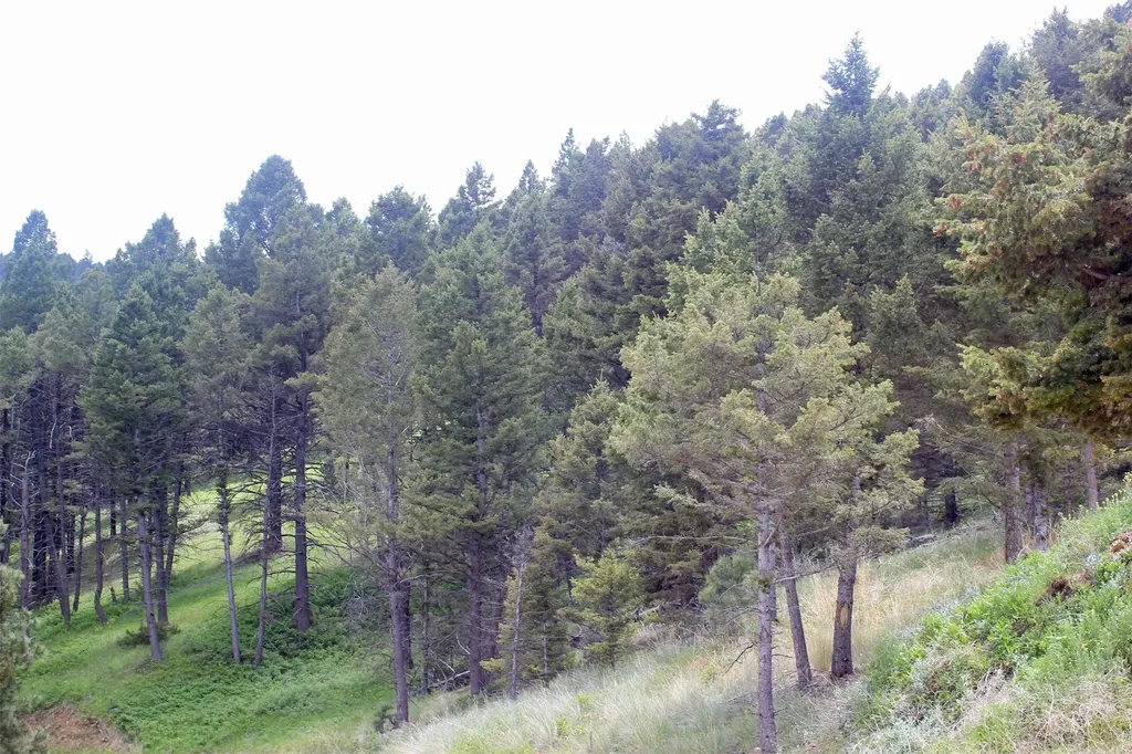 68 Wildlife Way Jefferson City MT 59638