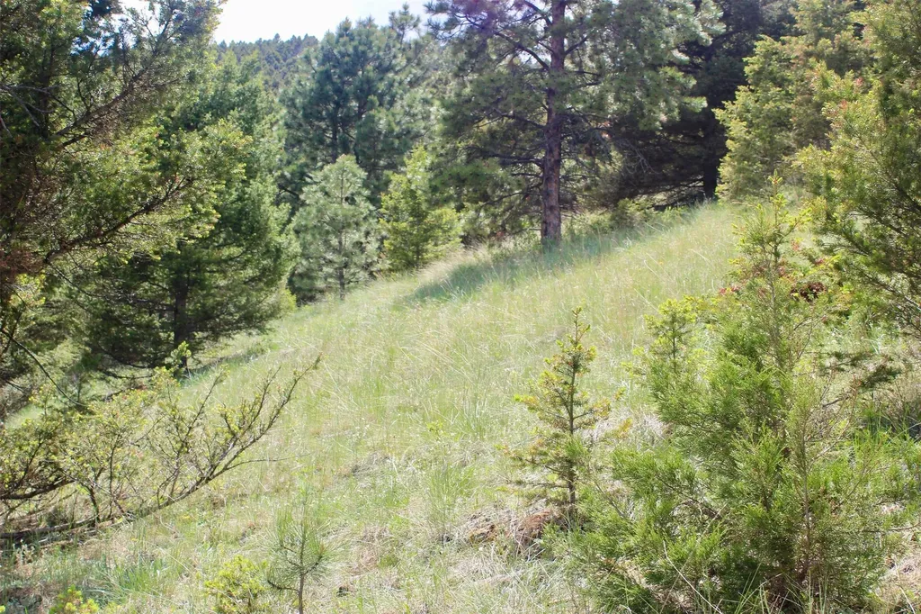 68 Wildlife Way Jefferson City MT 59638