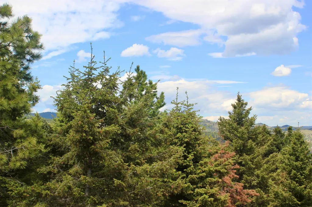 68 Wildlife Way Jefferson City MT 59638