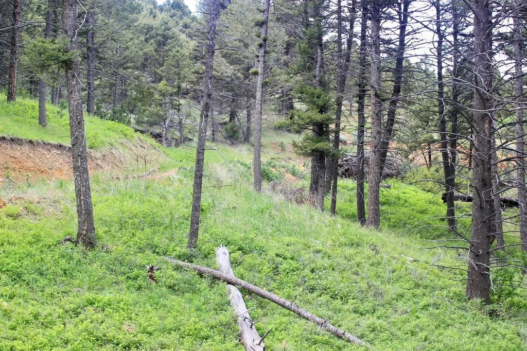68 Wildlife Way Jefferson City MT 59638