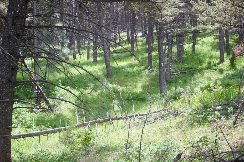 68 Wildlife Way Jefferson City MT 59638