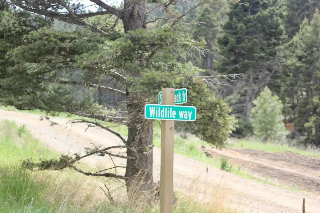 68 Wildlife Way Jefferson City MT 59638