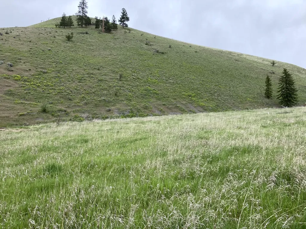 Lot 2 Miller Creek Road Missoula MT 59803