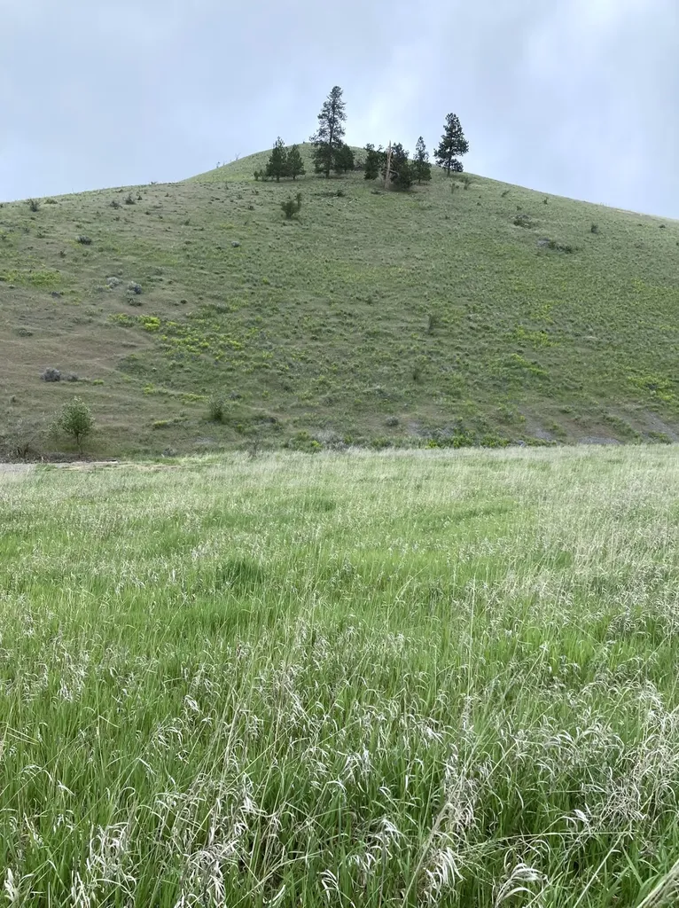 Lot 2 Miller Creek Road Missoula MT 59803
