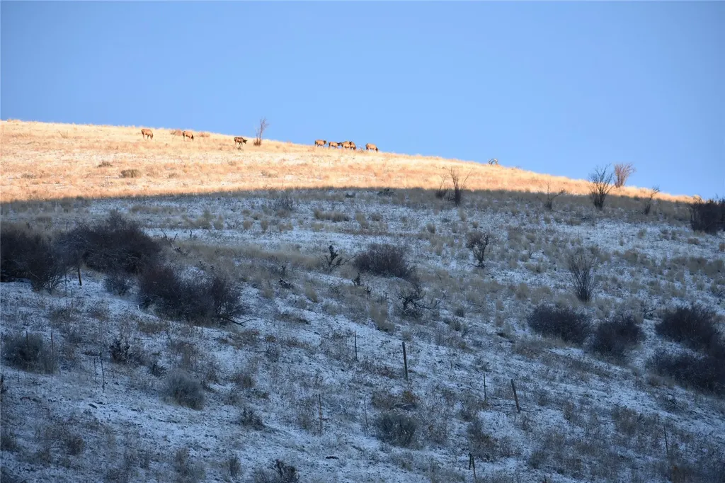 Lot 2 Miller Creek Road Missoula MT 59803