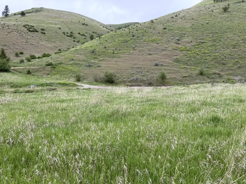 Lot 2 Miller Creek Road Missoula MT 59803