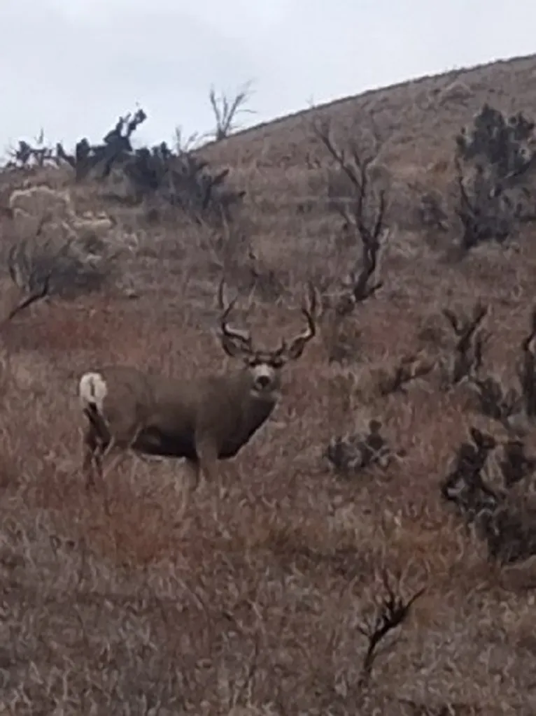 Lot 2 Miller Creek Road Missoula MT 59803