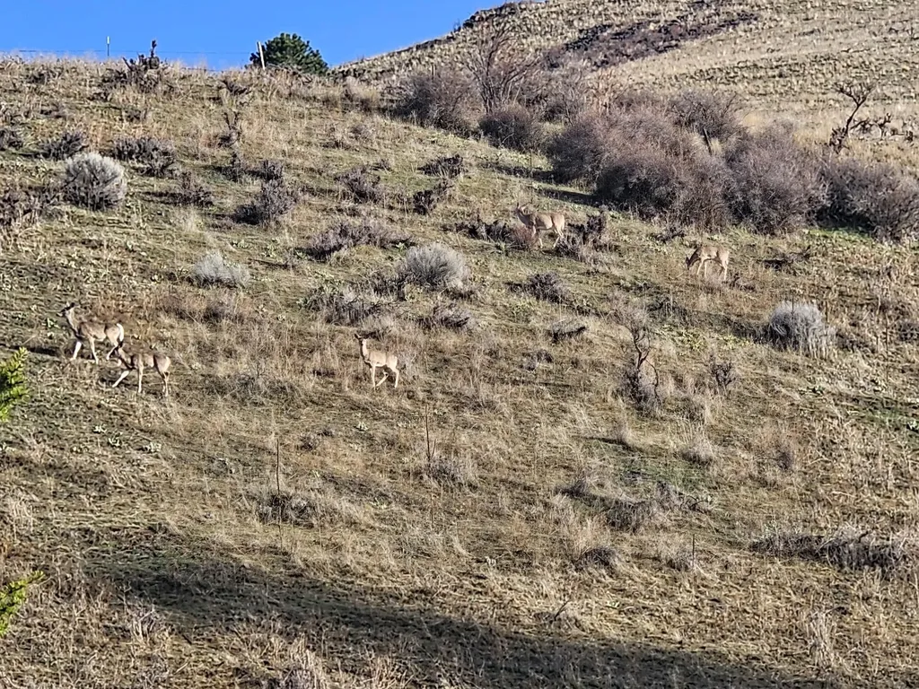 Lot 2 Miller Creek Road Missoula MT 59803