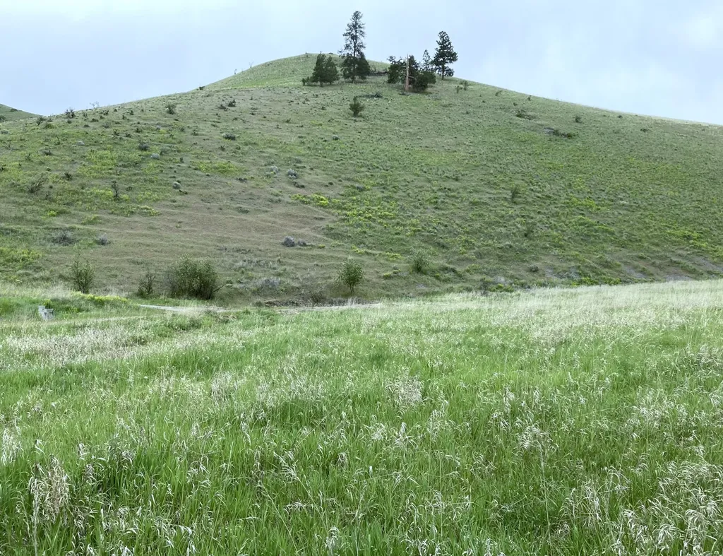 Lot 2 Miller Creek Road Missoula MT 59803