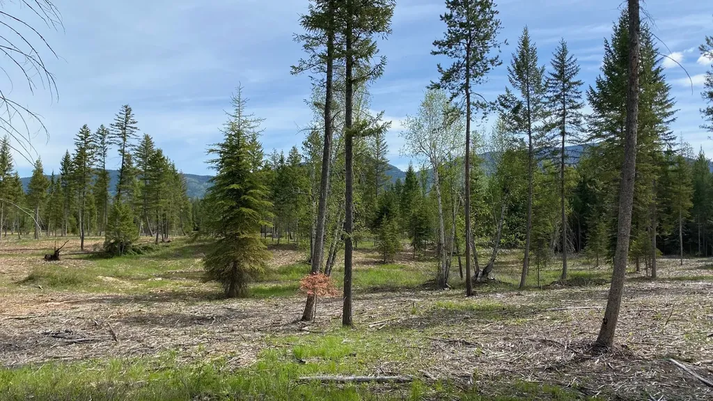 Nhn Larch Ridge Columbia Falls MT 59912