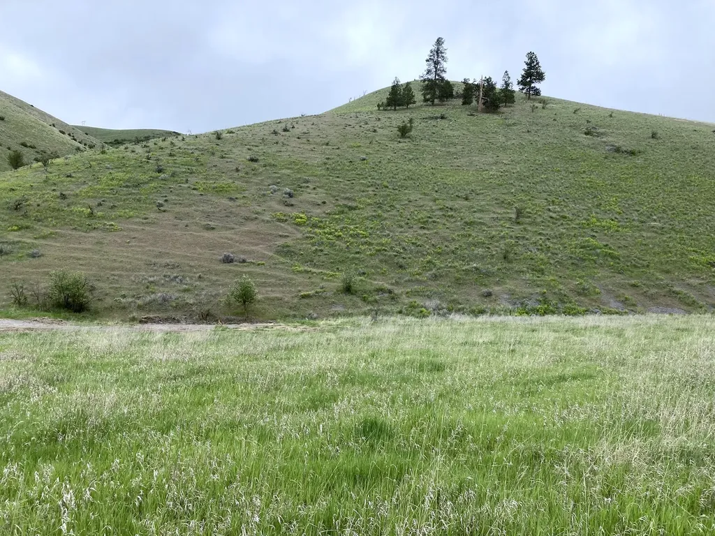 Lot 4 Miller Creek Road Missoula MT 59803