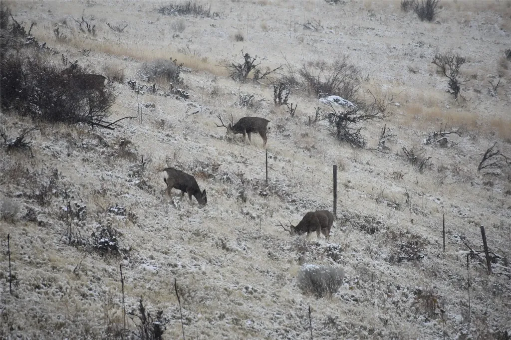 Lot 4 Miller Creek Road Missoula MT 59803