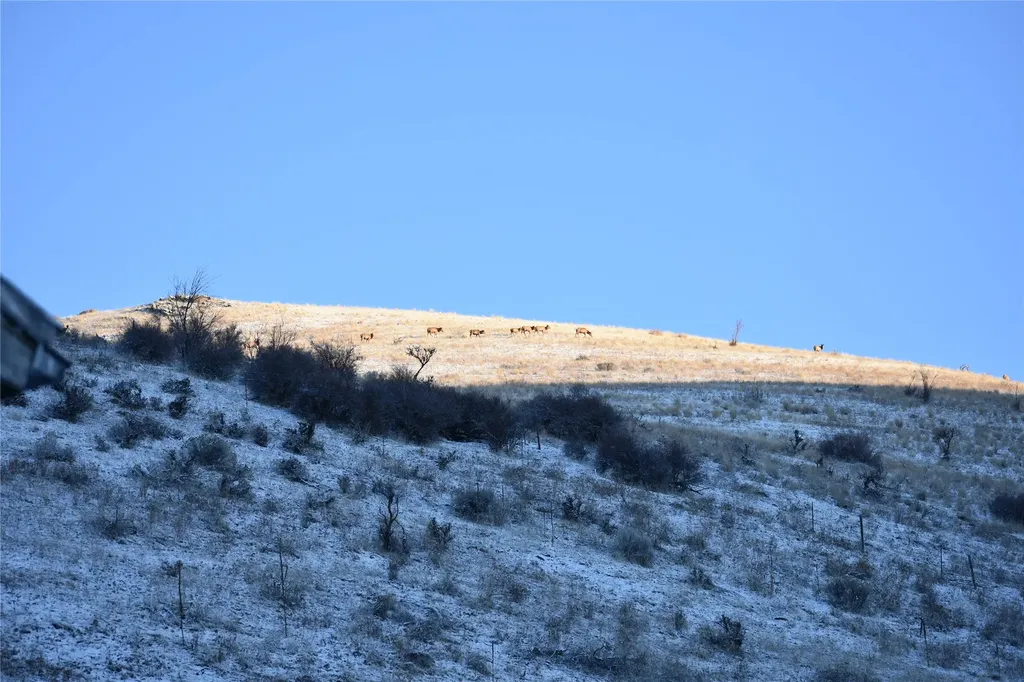 Lot 4 Miller Creek Road Missoula MT 59803