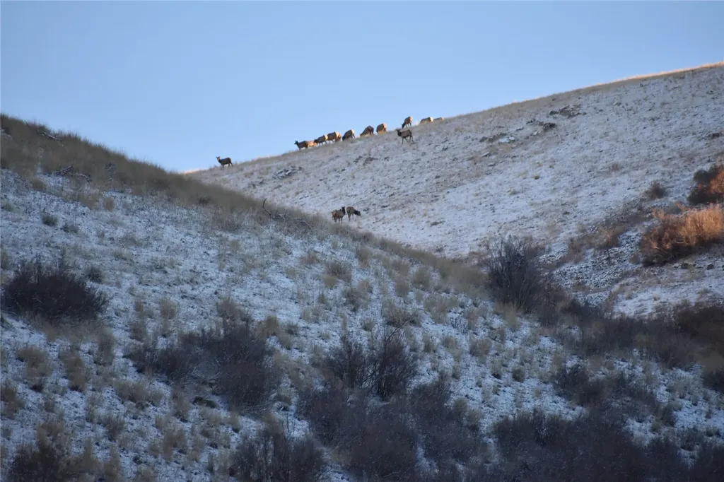 Lot 4 Miller Creek Road Missoula MT 59803
