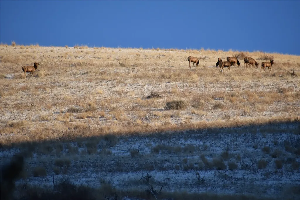 Lot 4 Miller Creek Road Missoula MT 59803