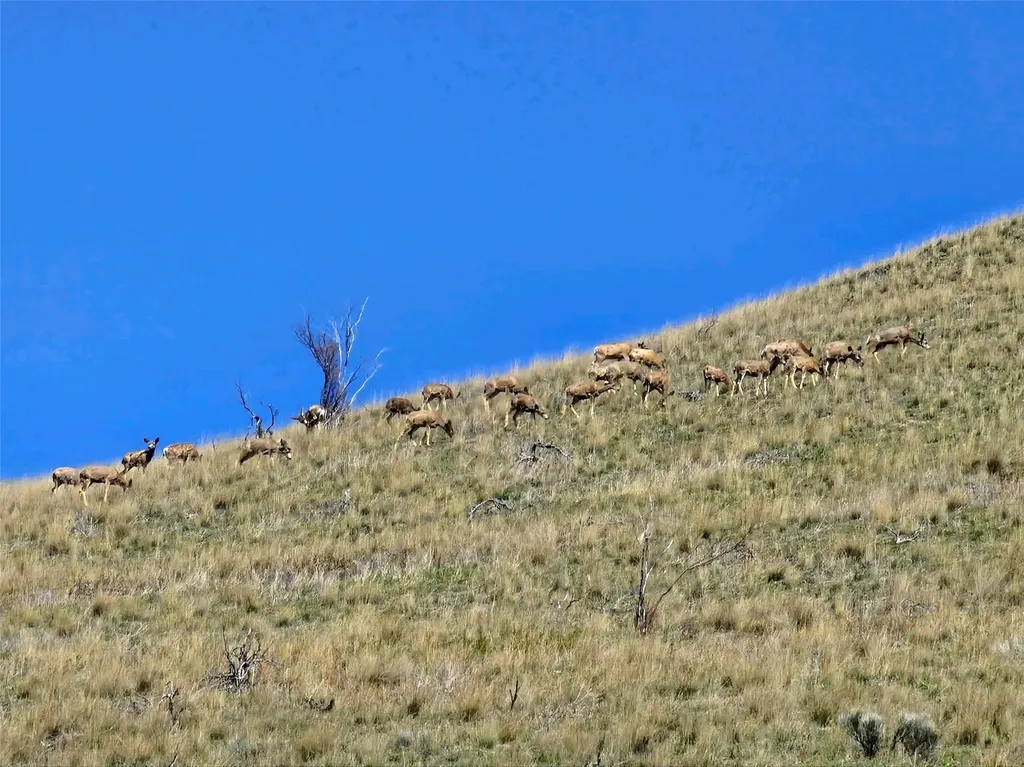 Lot 4 Miller Creek Road Missoula MT 59803