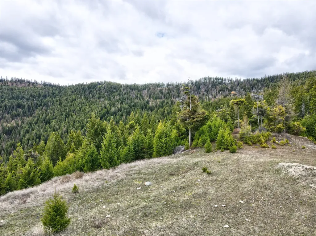 Tbd Emmons Canyon Road Kalispell MT 59901