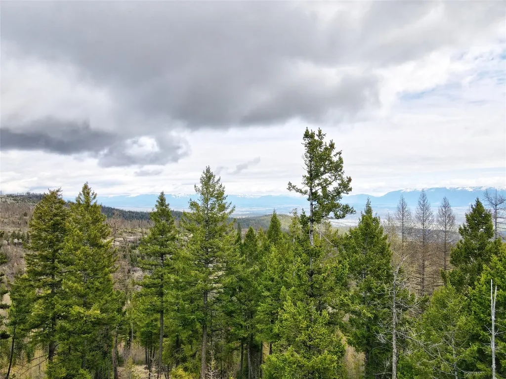 Tbd Emmons Canyon Road Kalispell MT 59901