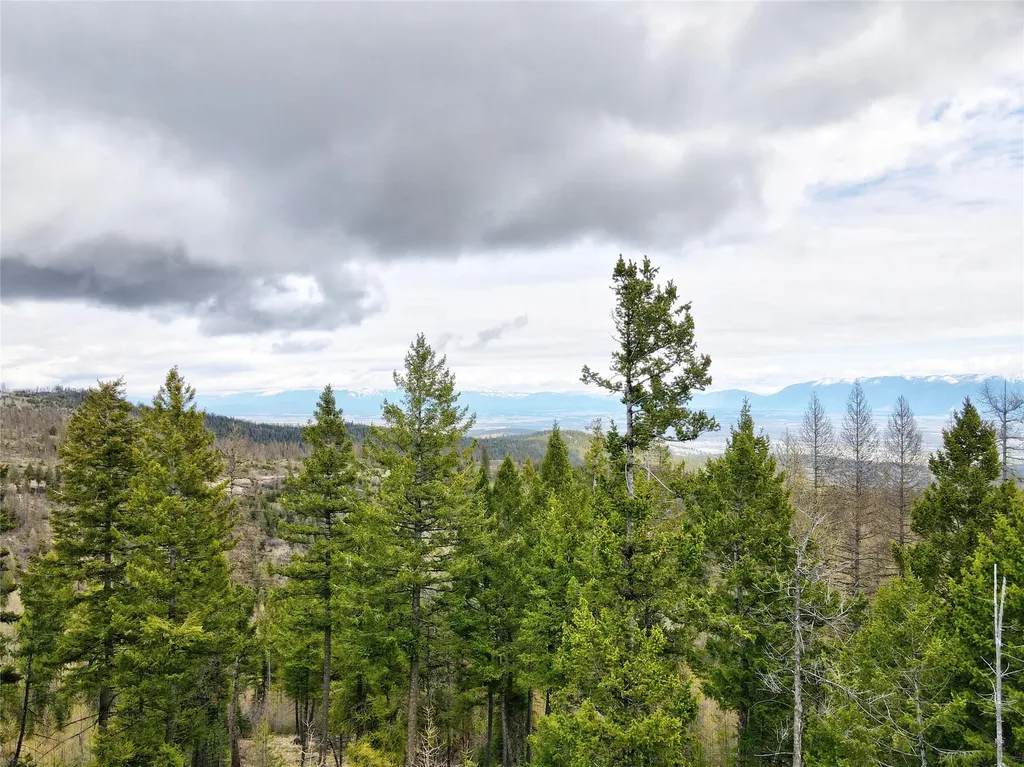 Tbd Emmons Canyon Road Kalispell MT 59901