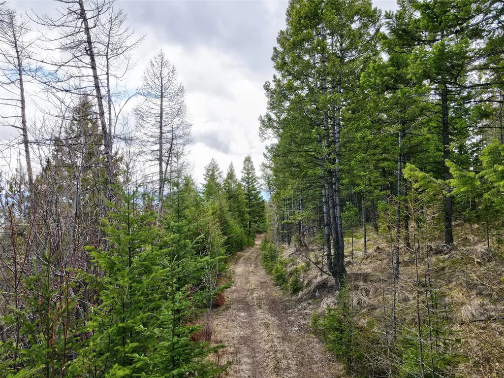 Tbd Emmons Canyon Road Kalispell MT 59901