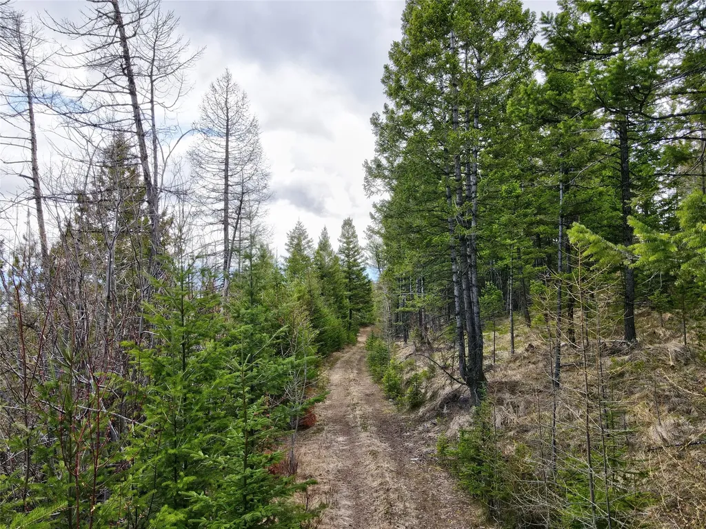 Tbd Emmons Canyon Road Kalispell MT 59901
