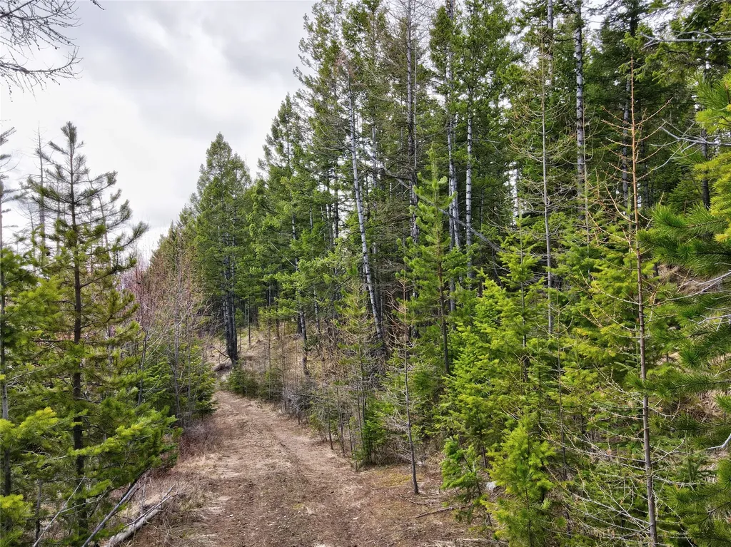 Tbd Emmons Canyon Road Kalispell MT 59901