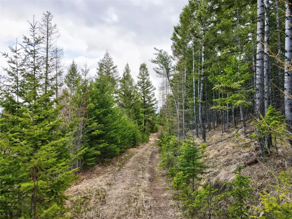 Tbd Emmons Canyon Road Kalispell MT 59901