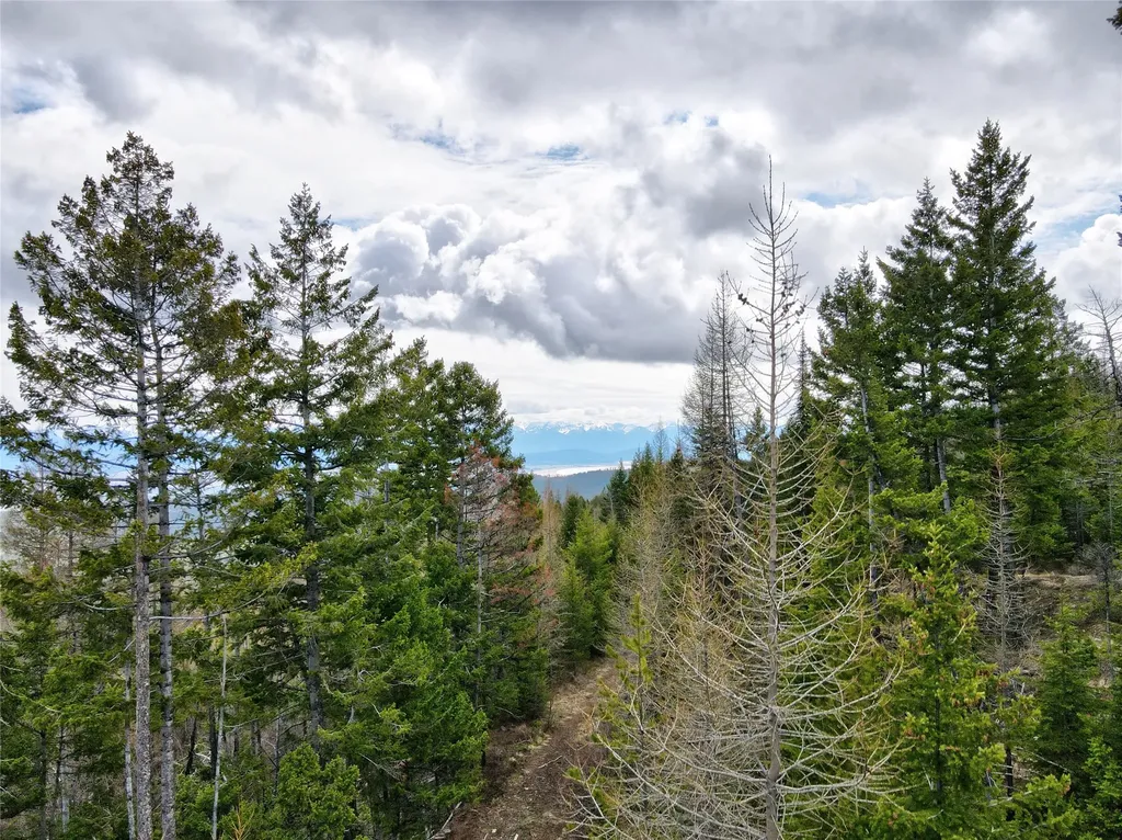 Tbd Emmons Canyon Road Kalispell MT 59901