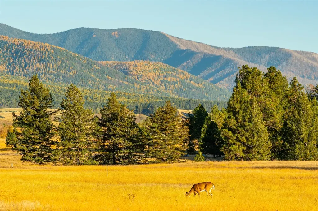 739 Paradise Loop Eureka MT 59917