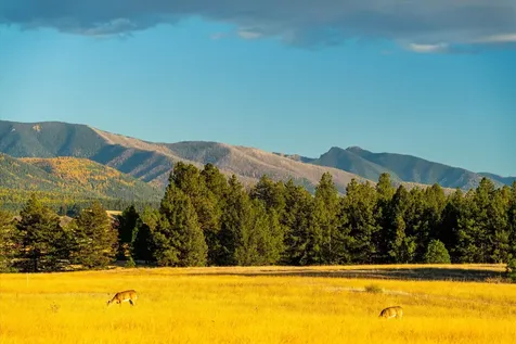 739 Paradise Loop Eureka MT 59917