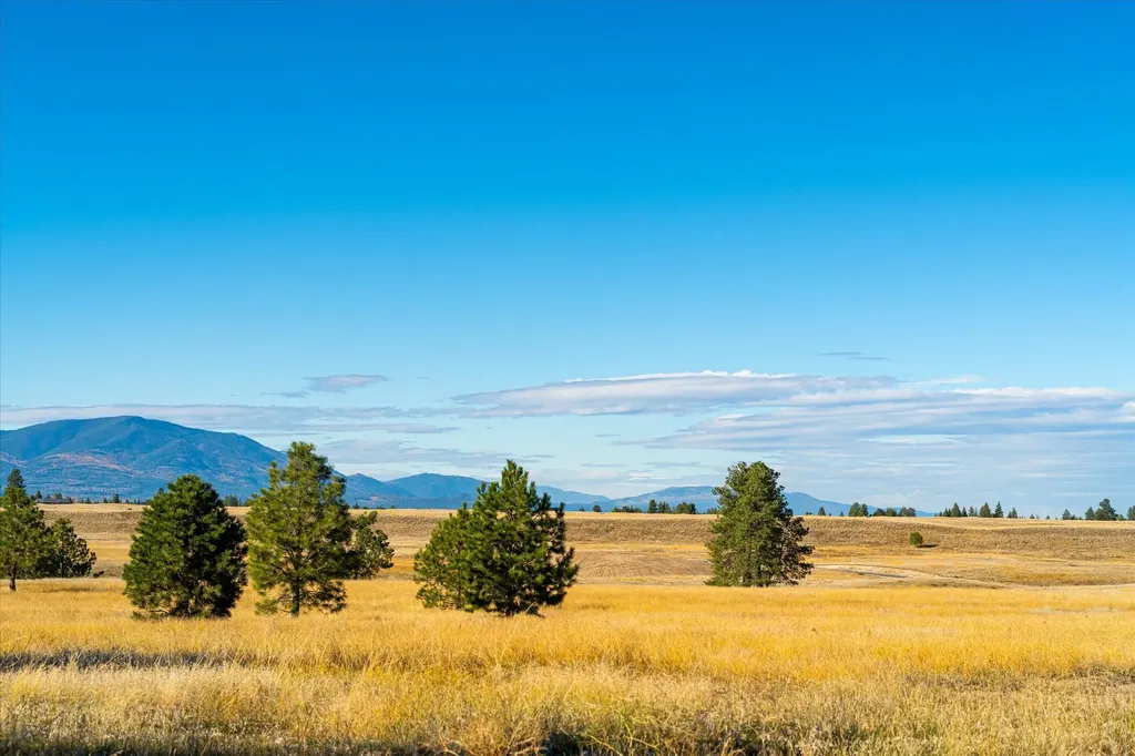 240 Paradise Loop Eureka MT 59917