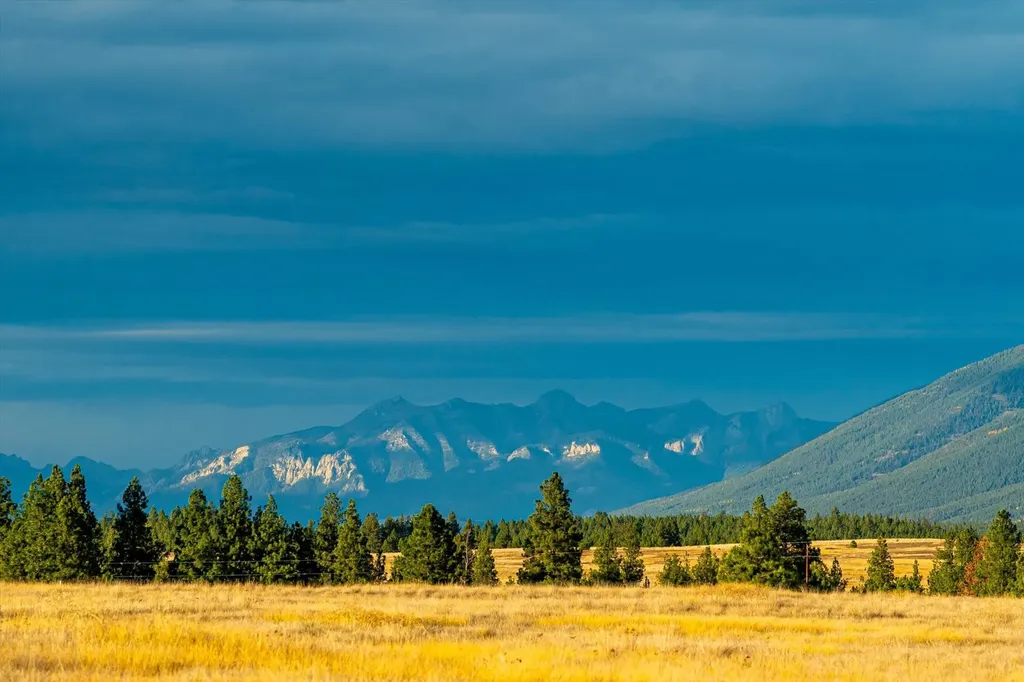 240 Paradise Loop Eureka MT 59917