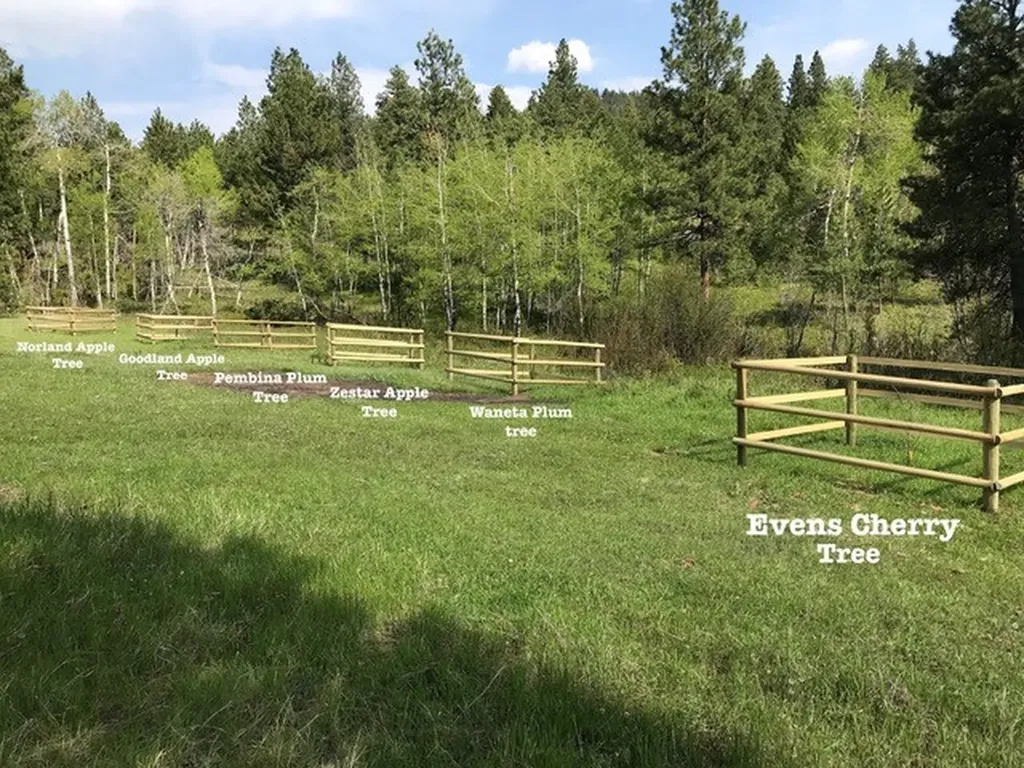 220 Shady Lane Clancy MT 59634