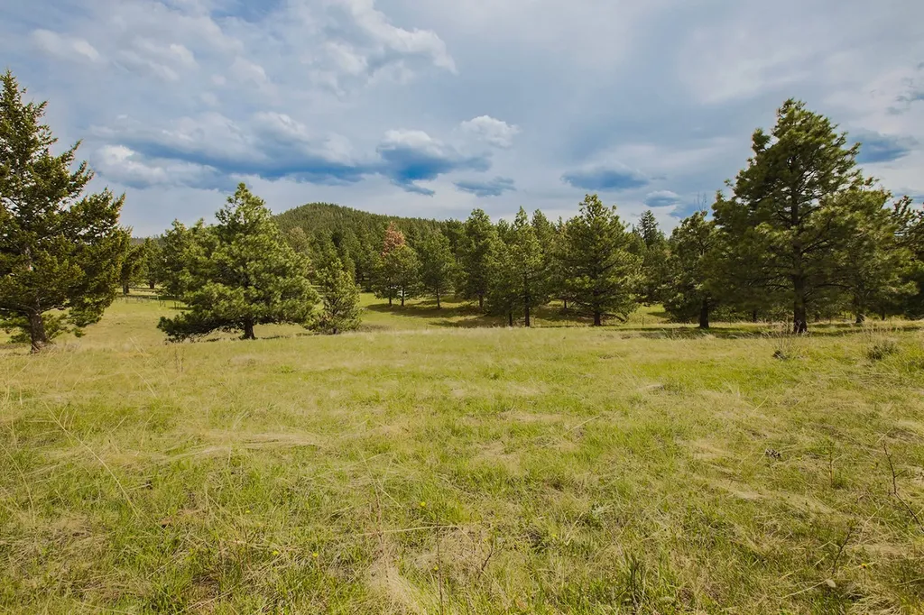 220 Shady Lane Clancy MT 59634
