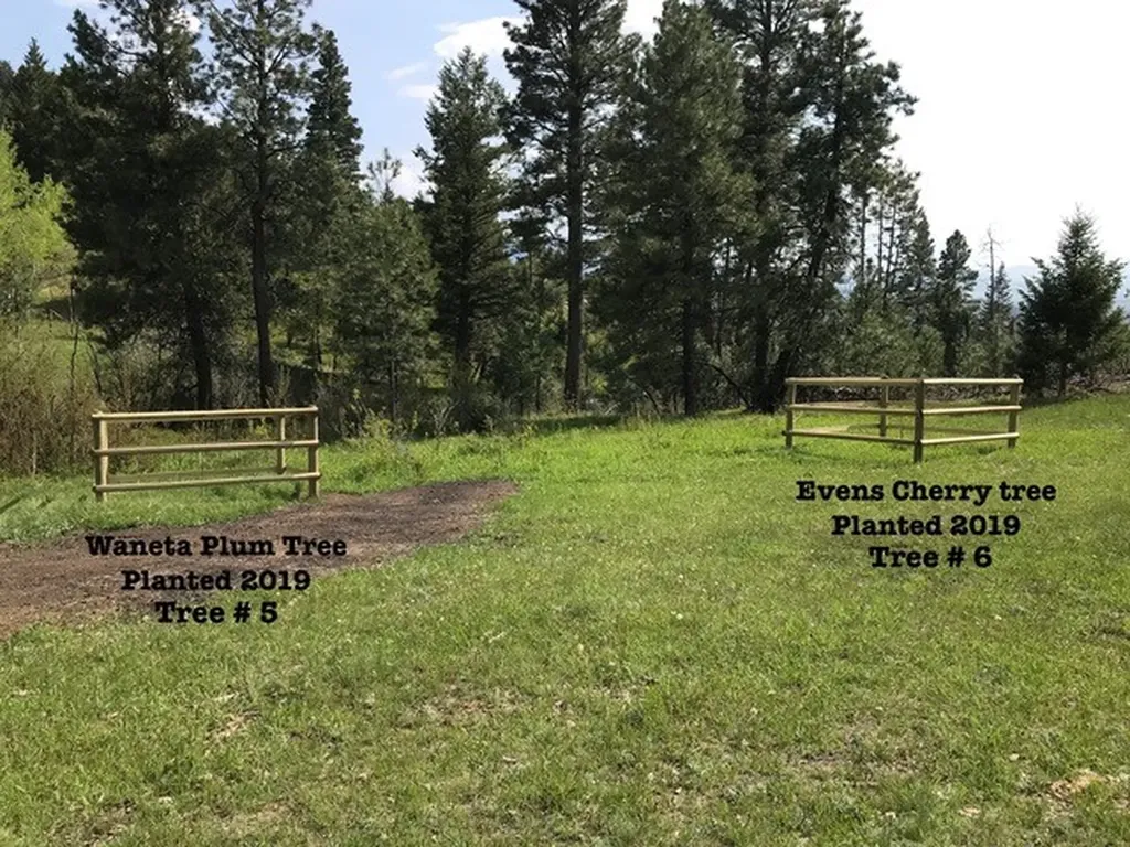 220 Shady Lane Clancy MT 59634
