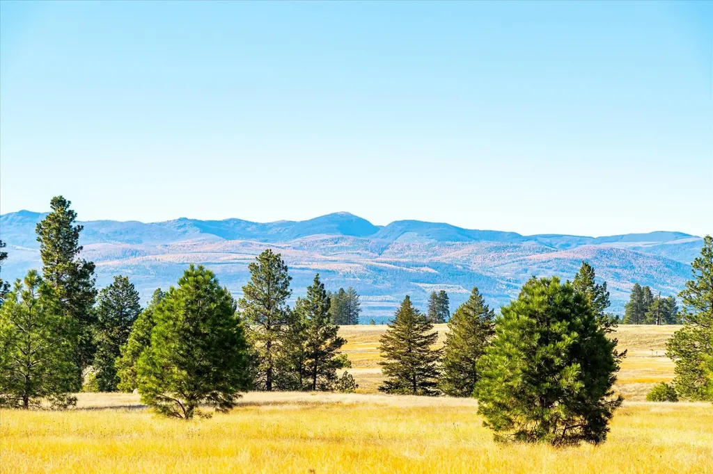 542 Paradise Loop Eureka MT 59917