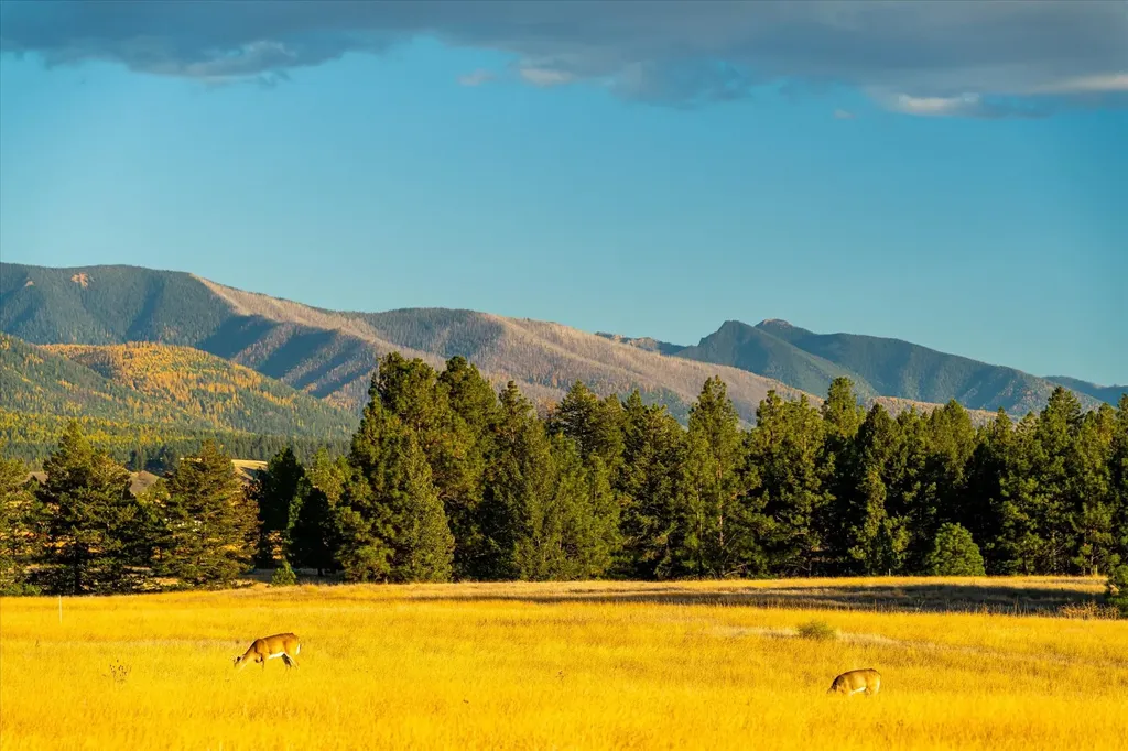542 Paradise Loop Eureka MT 59917