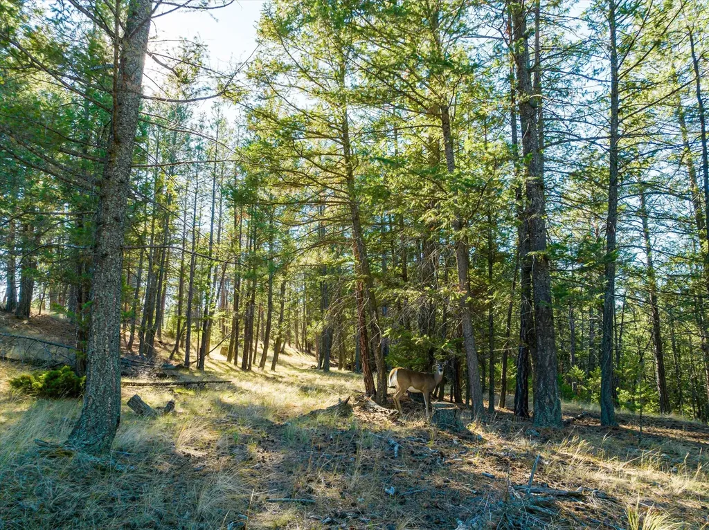 542 Paradise Loop Eureka MT 59917