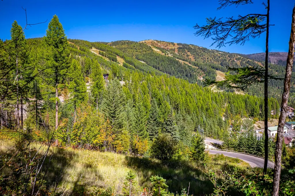 1051 Elk Camp Loop Whitefish MT 59937