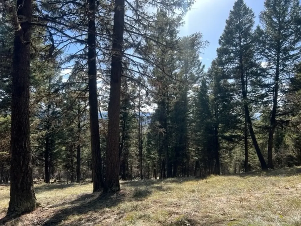 240 Wolverine Drive Seeley Lake MT 59868