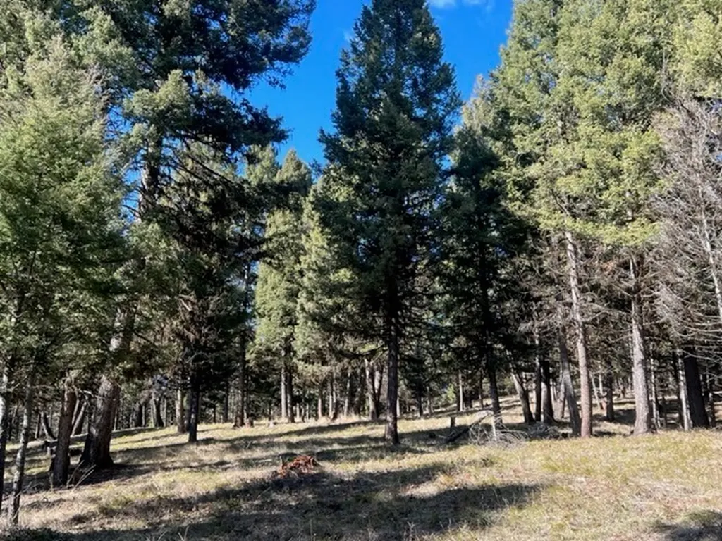 240 Wolverine Drive Seeley Lake MT 59868