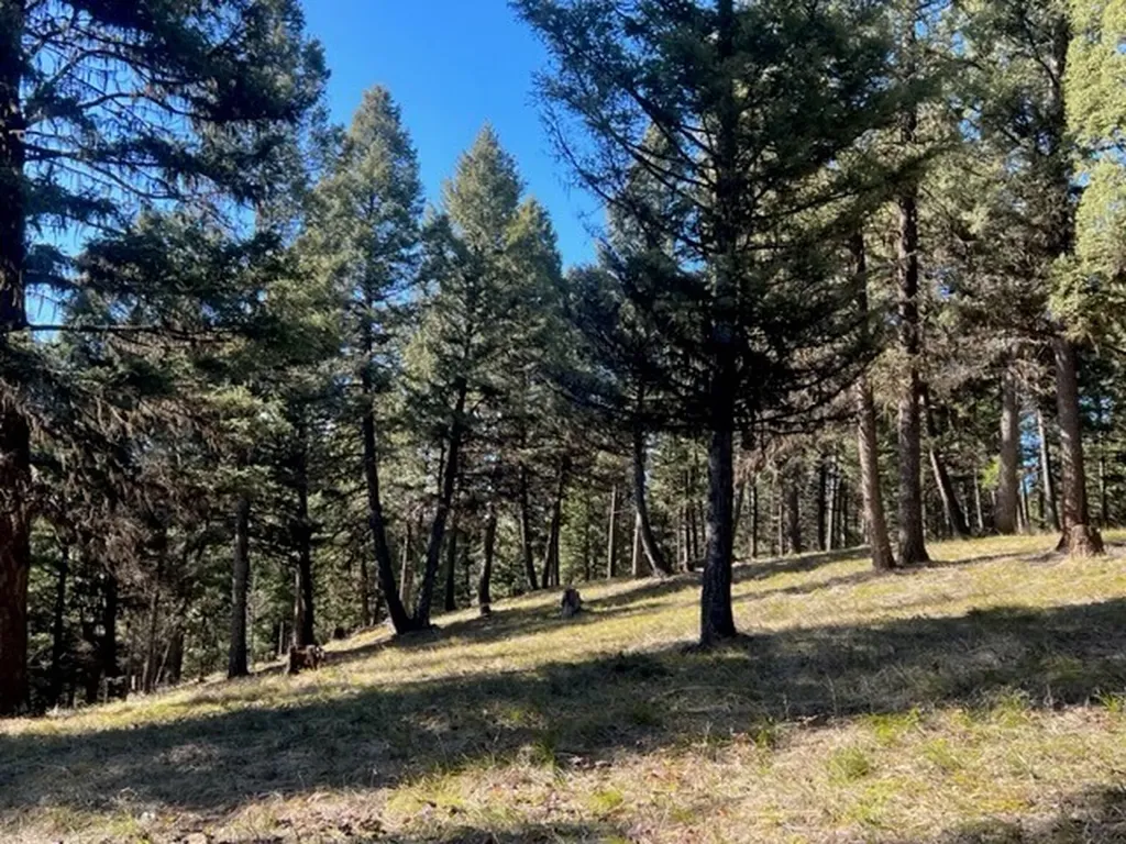 240 Wolverine Drive Seeley Lake MT 59868