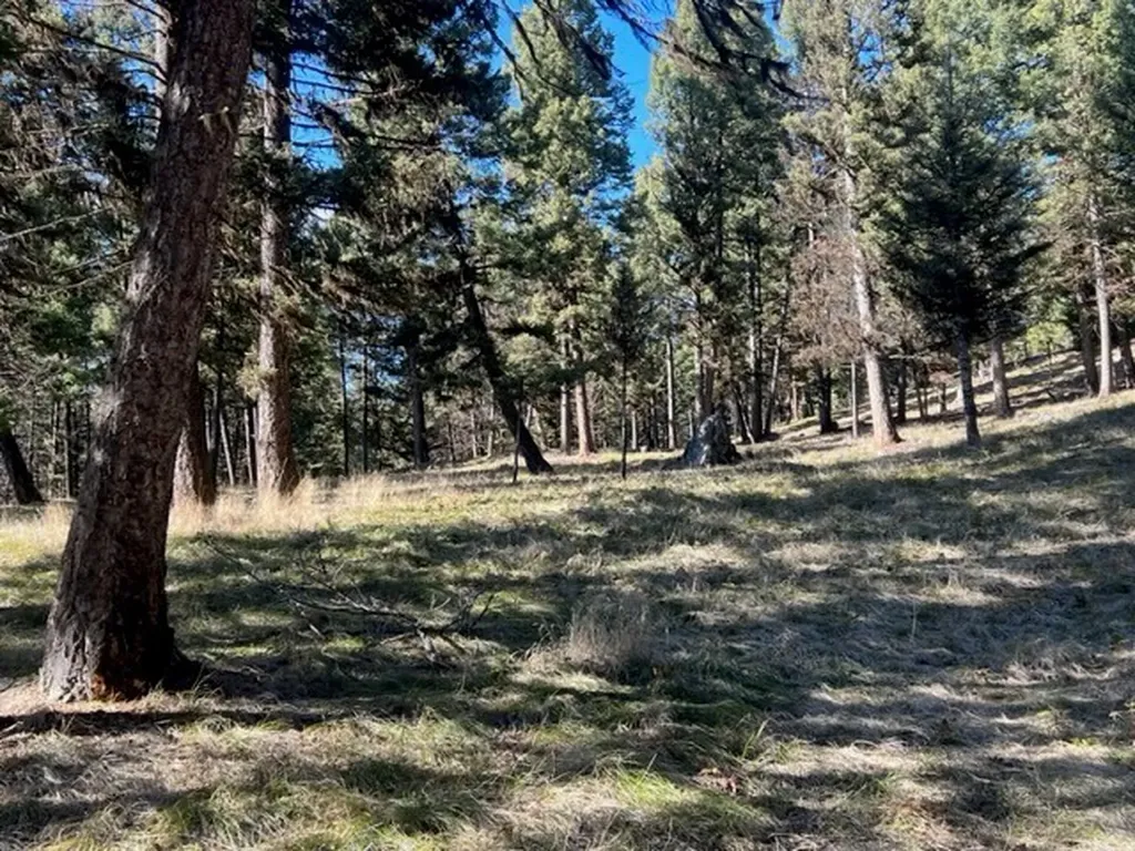 240 Wolverine Drive Seeley Lake MT 59868