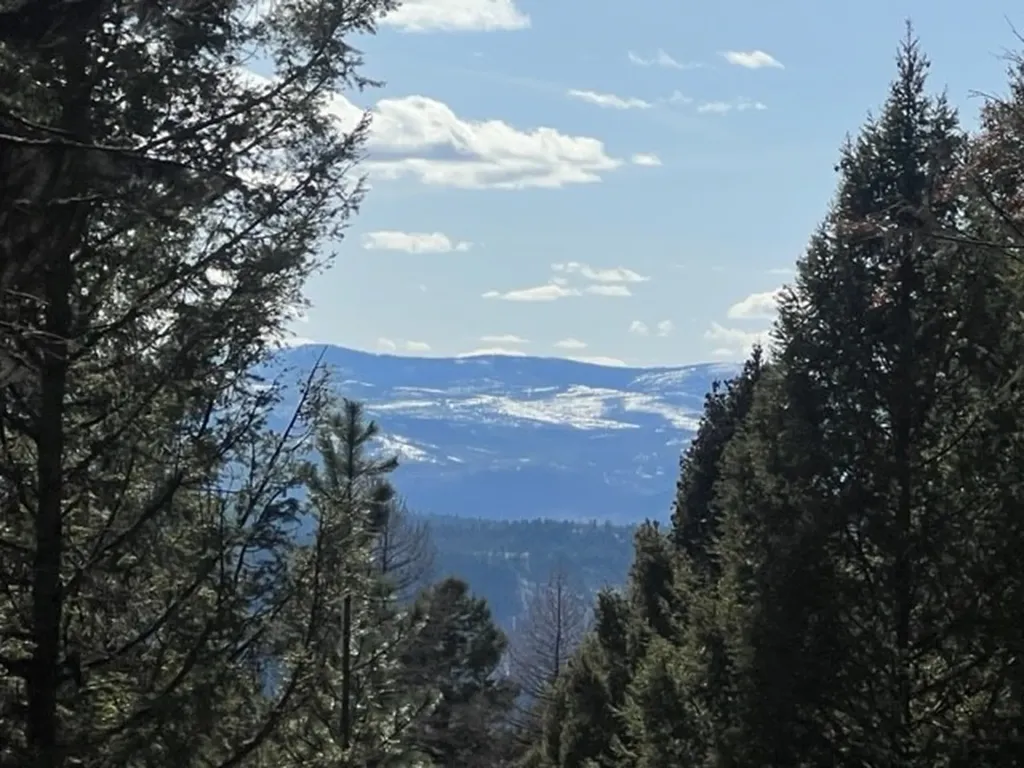 240 Wolverine Drive Seeley Lake MT 59868