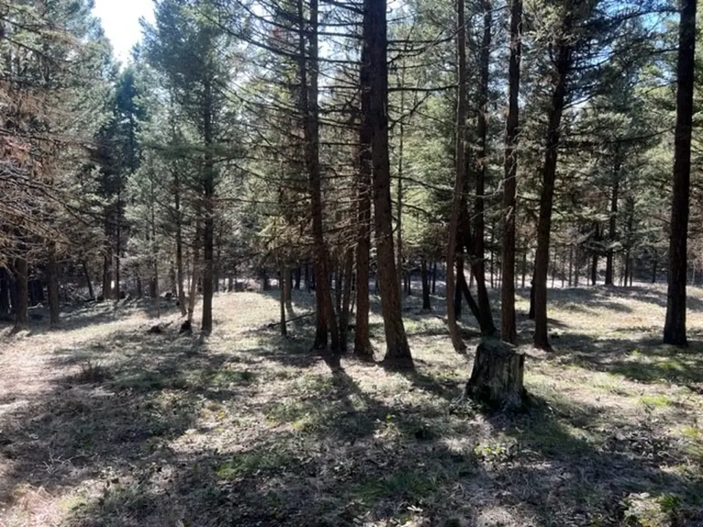 240 Wolverine Drive Seeley Lake MT 59868