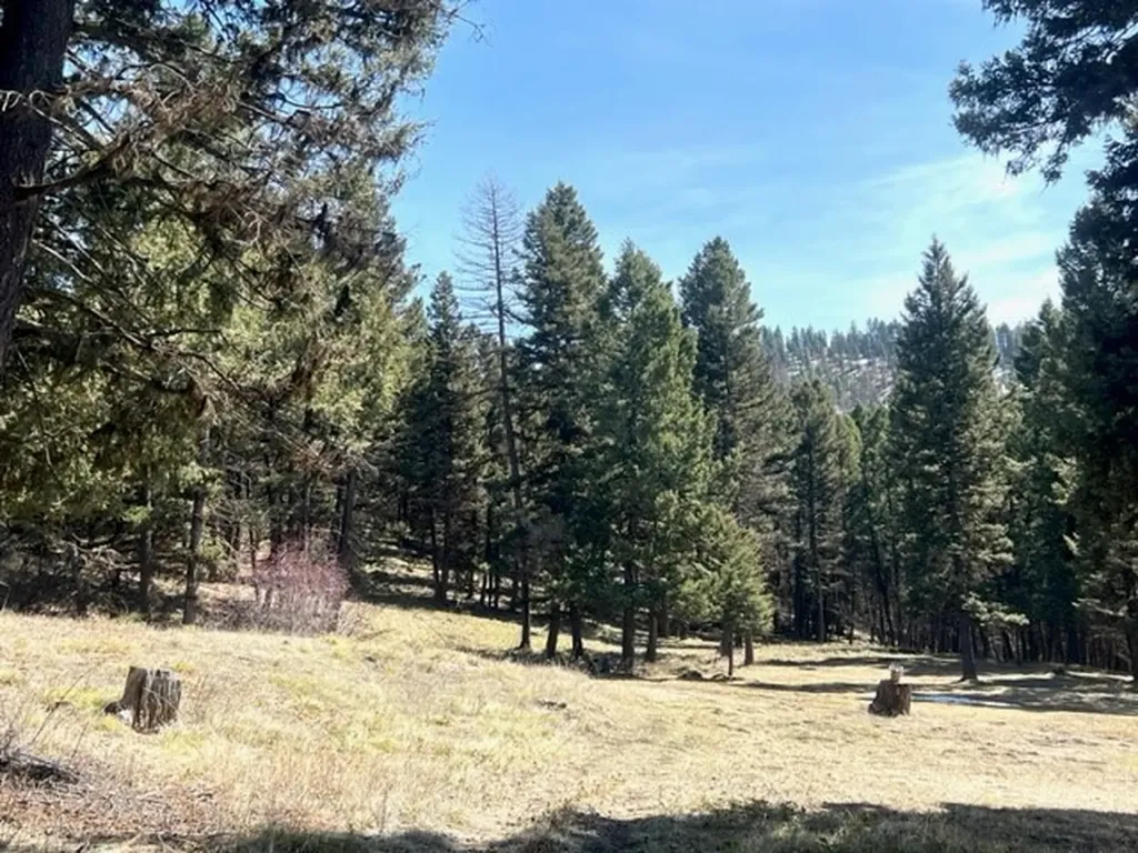 990 Elkhorn Road Seeley Lake MT 59868