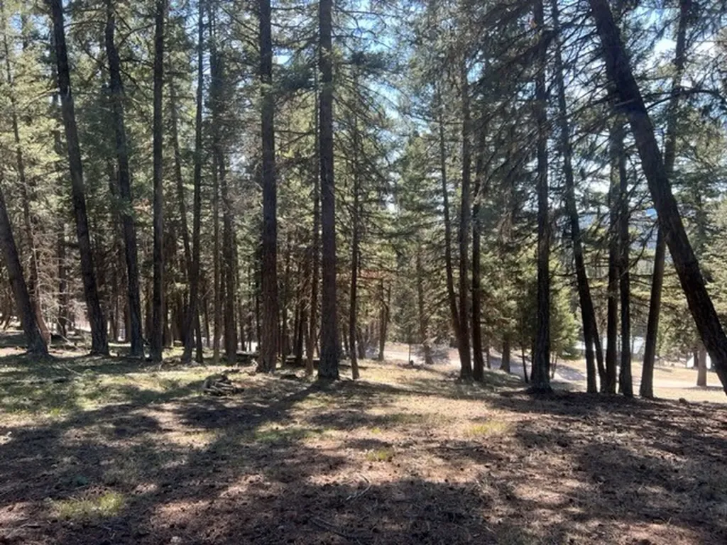 990 Elkhorn Road Seeley Lake MT 59868