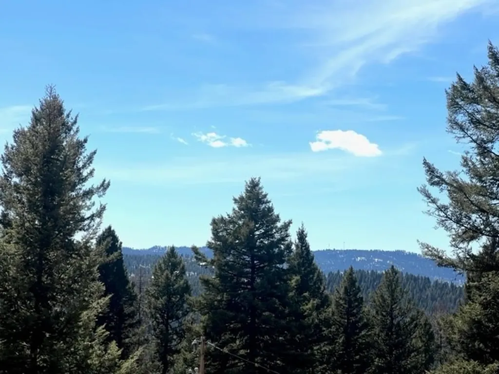 990 Elkhorn Road Seeley Lake MT 59868